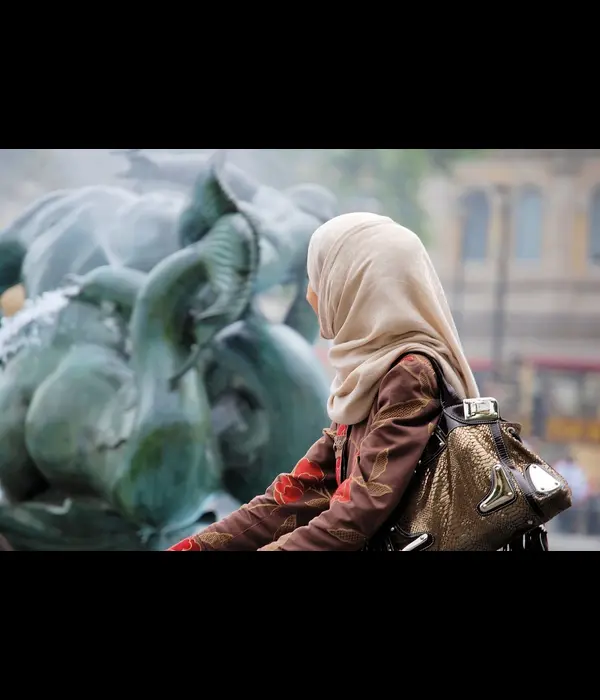 sightseer-371747_1280